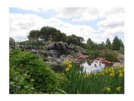 Temaiken Biopark, Belen de Escobar, Argentina