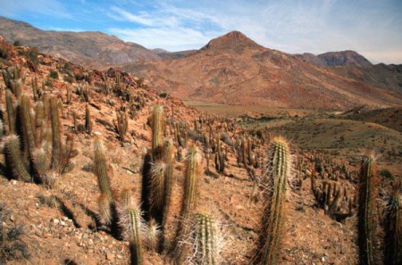 La serena ,Chile