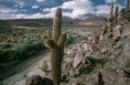 /album/fotogaleria/a28-31-atacama-jpg/