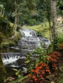 /album/fotogaleria/a1747730-640px-jpg/