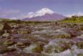 /album/fotogaleria/postcot2-jpg/